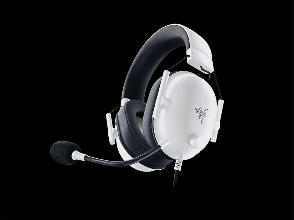 Razer BlackShark V2 X